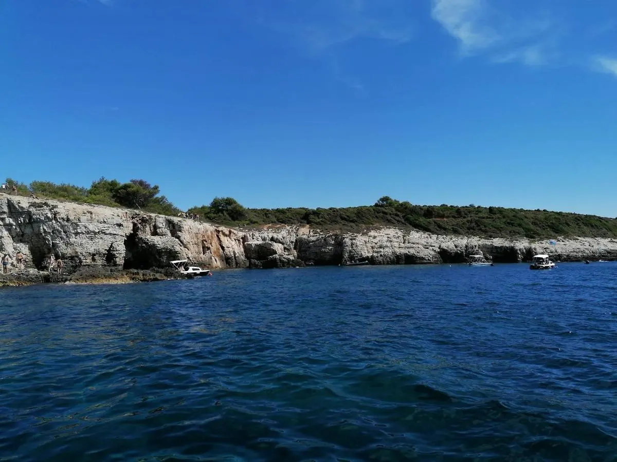 Apartmenthaus Viktoria Segotici Κροατία